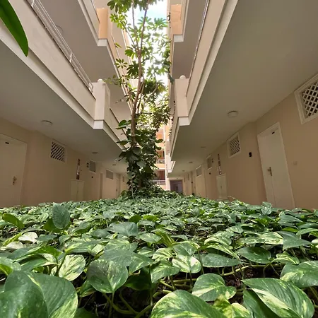 Lory Sweet Appartamento Puerto de Santiago (Tenerife)