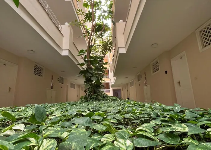 Lory Sweet Apartment Puerto de Santiago (Tenerife)