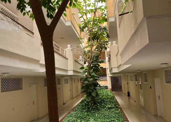 Lory Sweet * Puerto de Santiago (Tenerife)