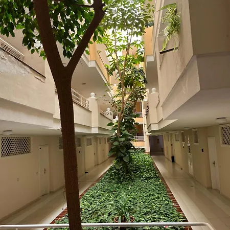 Lory Sweet * Пуэрто-де-Сантьяго